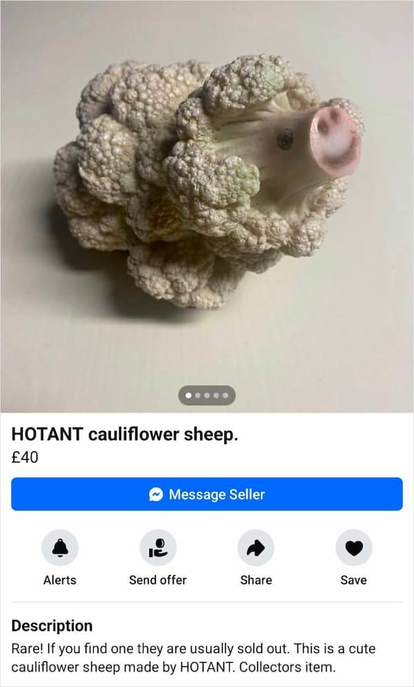facebook marketplace memes, facebook marketplace listings, funny marketplace listings, weird marketplace listings online marketplace memes, Facebook selling humor, strange Facebook listings funny online listings, bizarre marketplace items, quirky Facebook listings