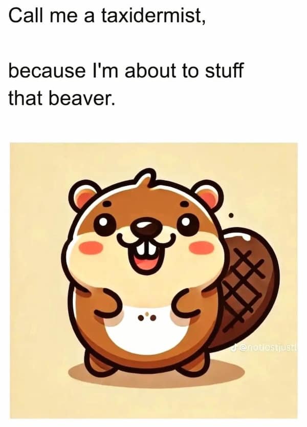 flirty memes, dirty memes, romantic memes, cheeky memes, flirty humor romantic memes, relationship memes, dating memes love memes, funny love memes, charming memes