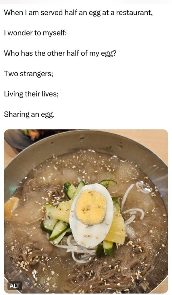 food memes, eating memes, snack memes, food humor funny eating memes, food jokes, eating humor snack humor, food images, hilarious food pictures