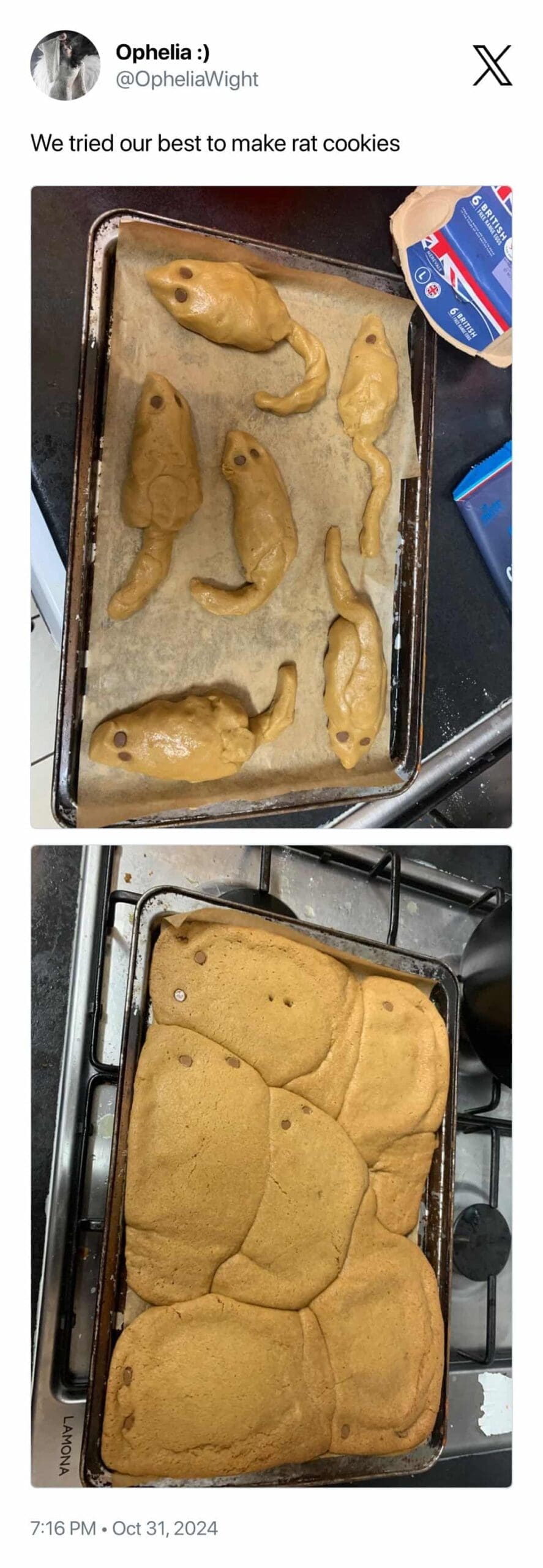 food memes, food tweets, cooking jokes, food obsession, cuisine memes, gastronomic gags, dieting humor