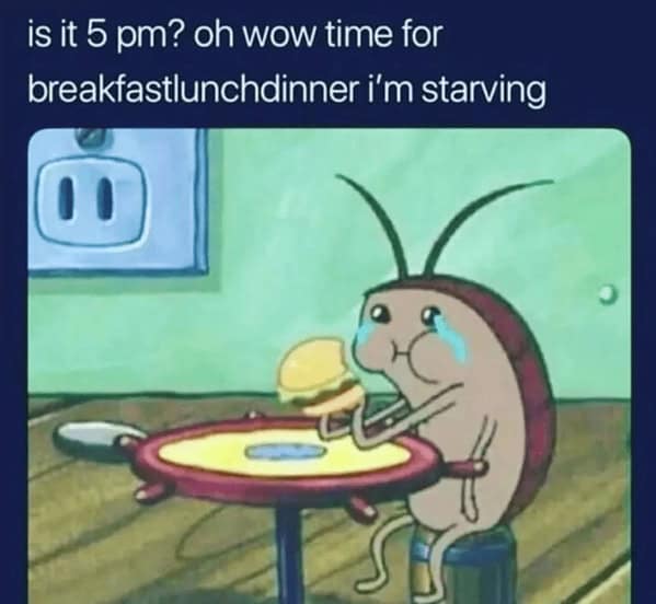 food memes, eating memes, snack memes, food humor funny eating memes, food jokes, eating humor snack humor, food images, hilarious food pictures