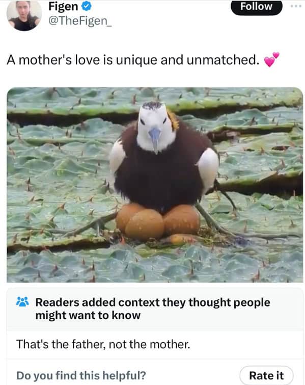 funny community notes, humorous community notes, amusing Twitter notes, witty community notes, Twitter humor, funny tweets, hilarious Twitter notes, Twitter interactions, amusing tweets, witty replies