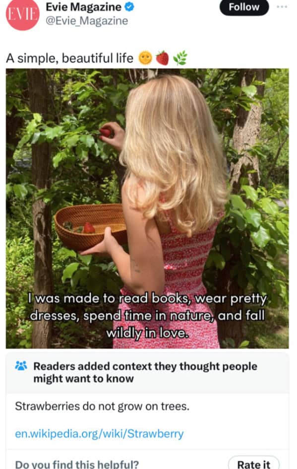 funny community notes, humorous community notes, amusing Twitter notes, witty community notes, Twitter humor, funny tweets, hilarious Twitter notes, Twitter interactions, amusing tweets, witty replies