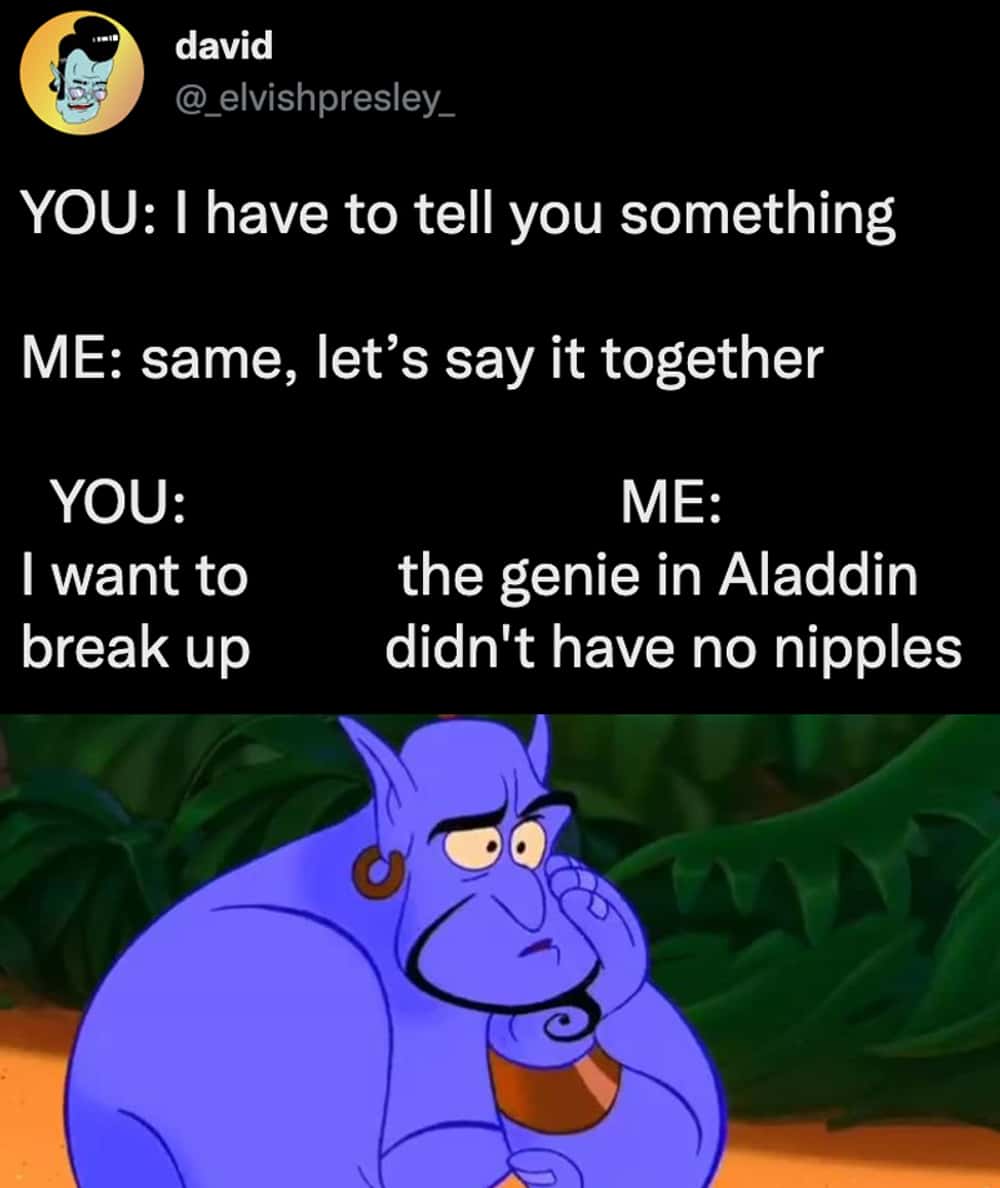 YOU: I have to tell you something ME: same, let's say it together YOU: I want to break up ME: the genie in Aladdin didn't have no nipples