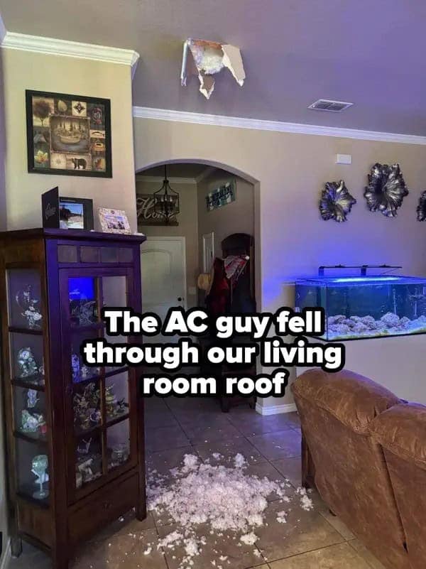 funny fails, hilarious fails, epic fails, fail memes, mishap photos, blunder memes, fail pictures, comedic fails, clumsy moments, funny disasters