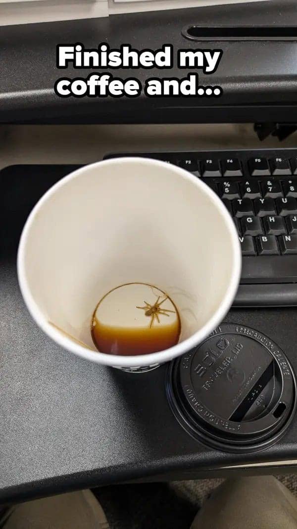 funny fails, hilarious fails, epic fails, fail memes, mishap photos, blunder memes, fail pictures, comedic fails, clumsy moments, funny disasters