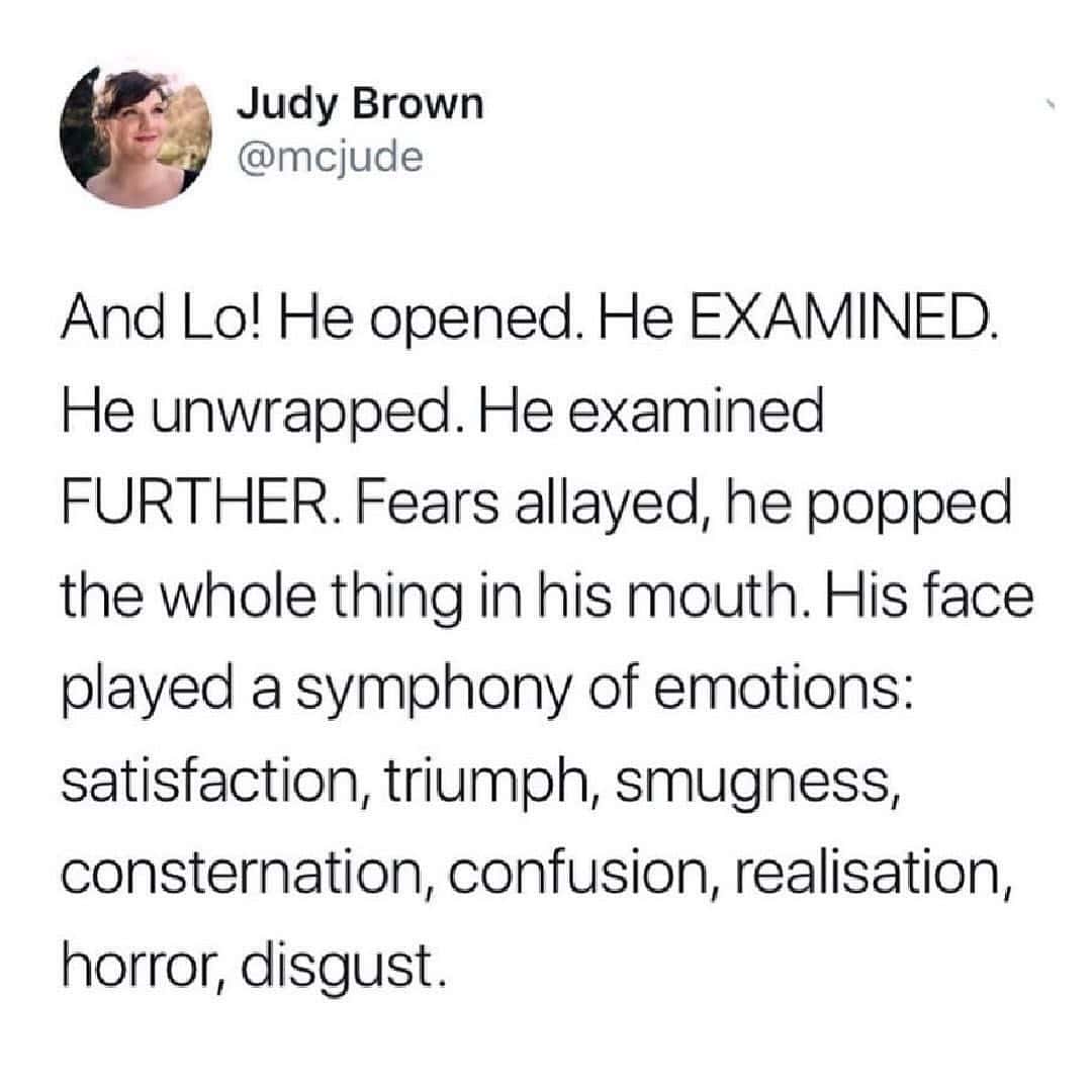 funny food tweets, food memes, humorous food tweets, amusing food tweets, food humor tweets, funny food images, food humor, hilarious food pictures snack memes, foodie humor, funny eating memes