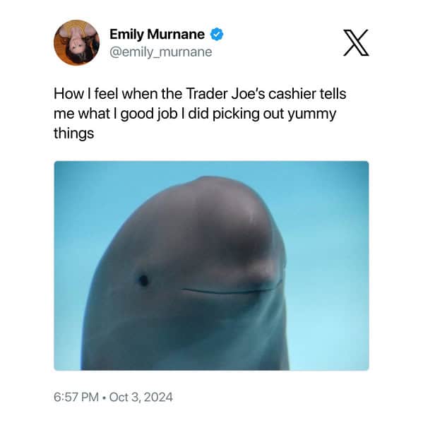 funny memes, funny images, funny pics, funny pictures