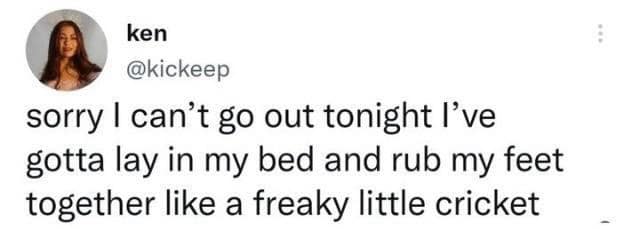 sorry I can't go out tonight l've gotta lay in my bed and rub my feet together like a freaky little cricket