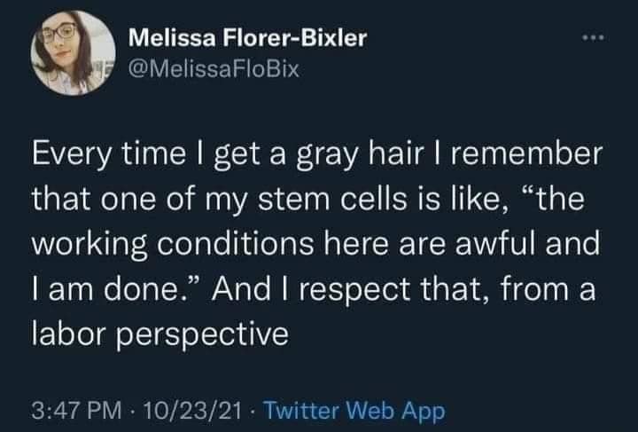 Every time I get a gray hair I remember that one of my stem cells is like, "the working conditions here are awful and I am done." And I respect that, from a labor perspective
