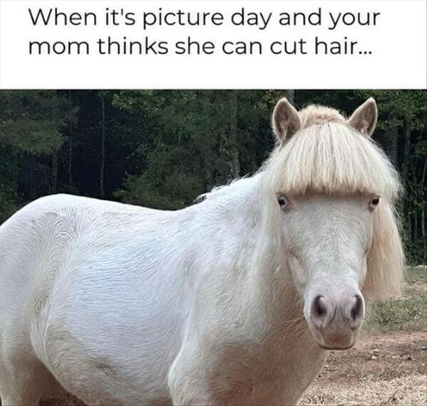 When it's picture day and your mom thinks she can cut hair...