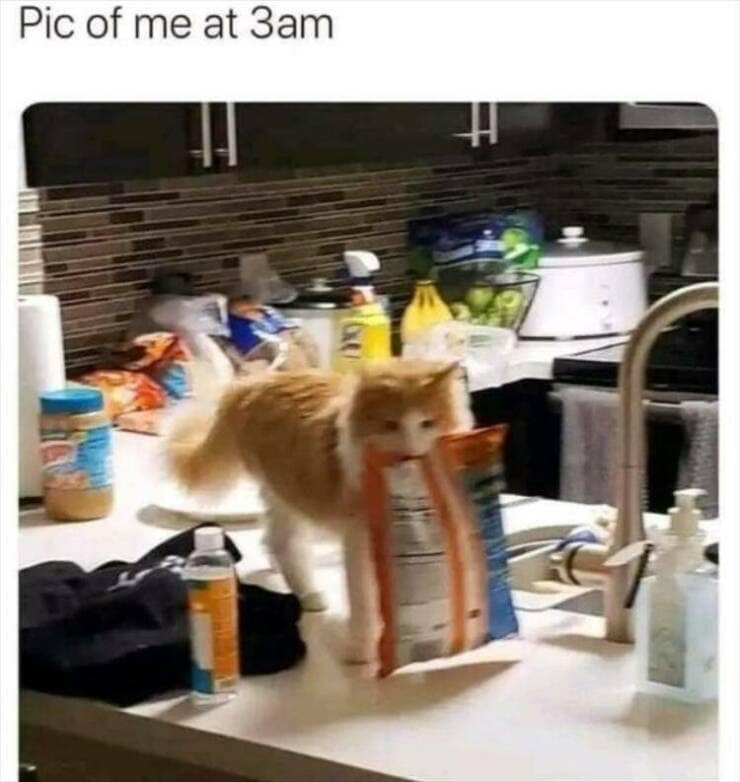 Pic of me at 3am
