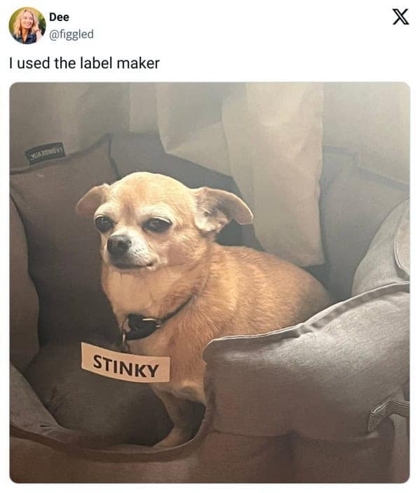 funny memes, funny images, funny pics, funny pictures