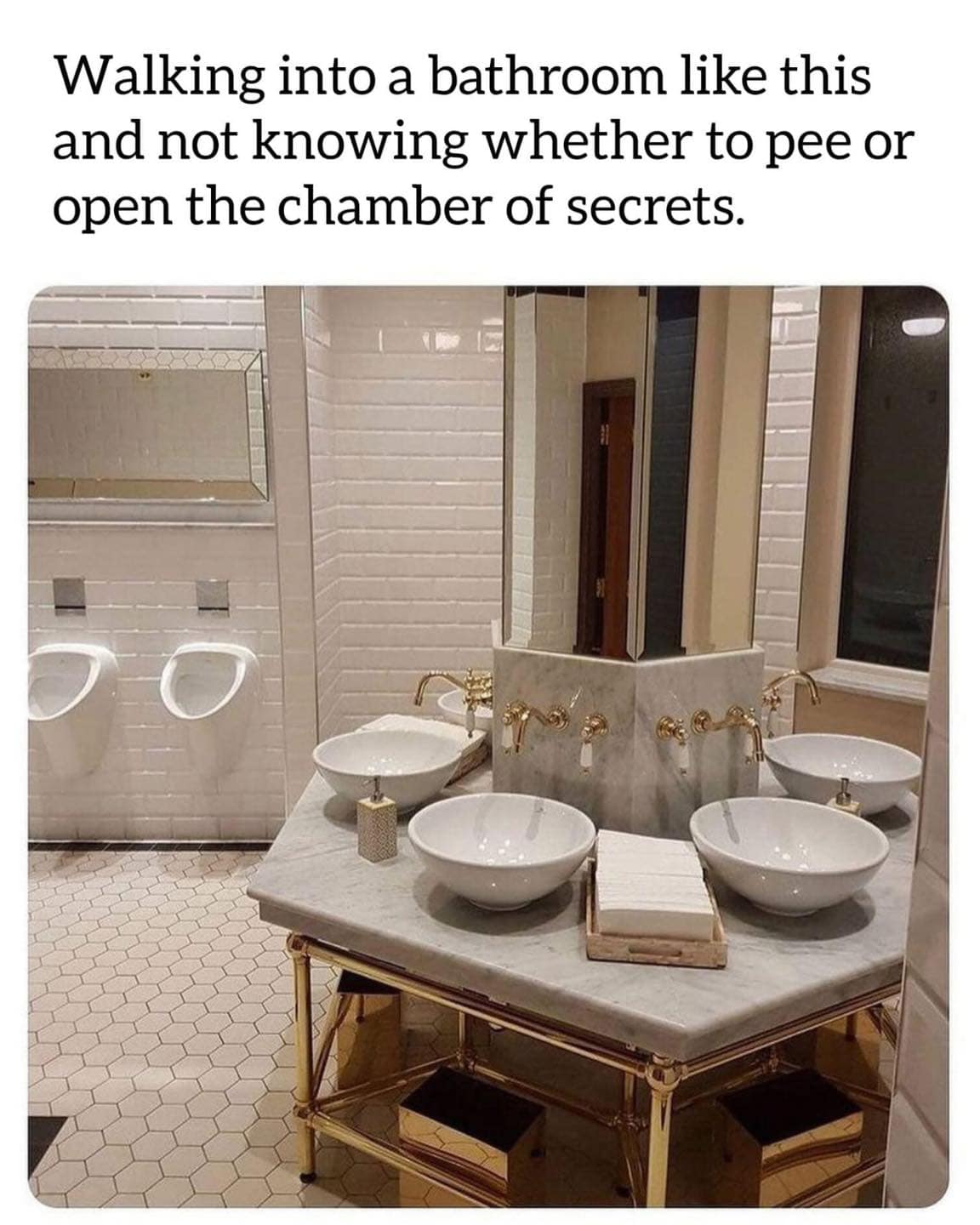 Walking into a bathroom like this and not knowing whether to pee or open the chamber of secrets.