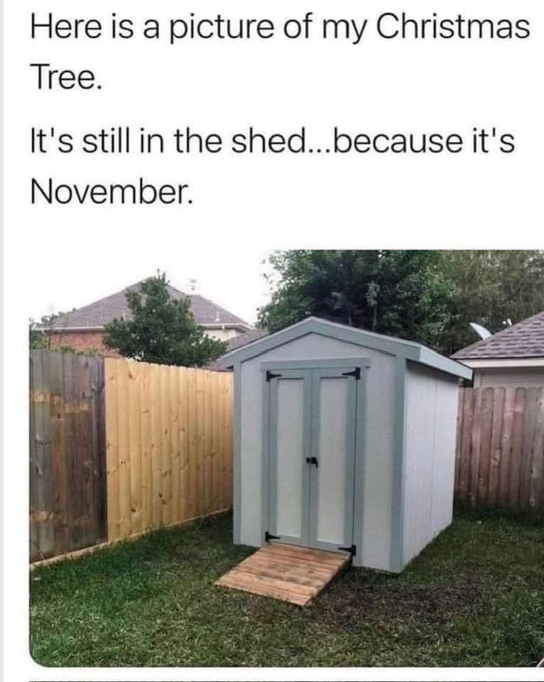 Here is a picture of my Christmas Tree. It's still in the shed...because it's November.