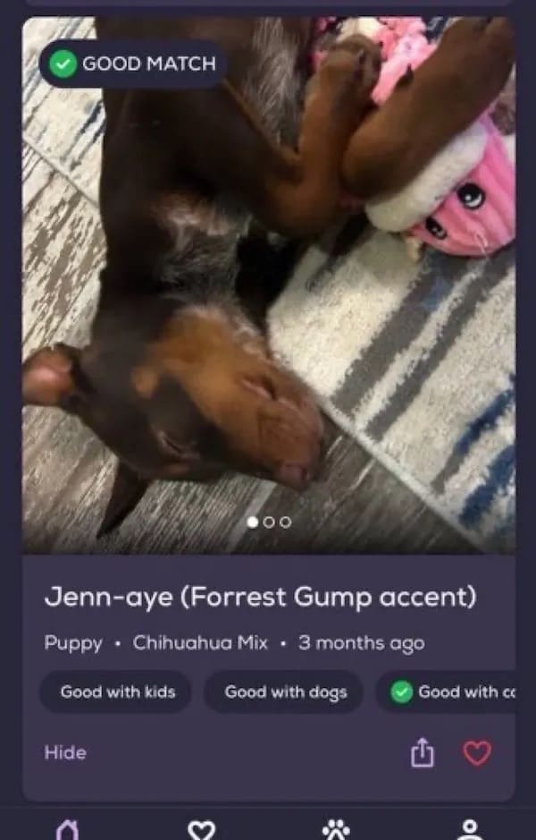 Jenn-aye (Forrest Gump accent) Puppy