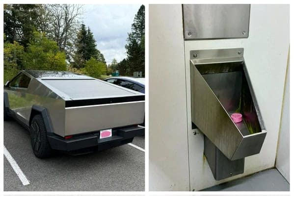 funny memes, funny photos, funniest pics