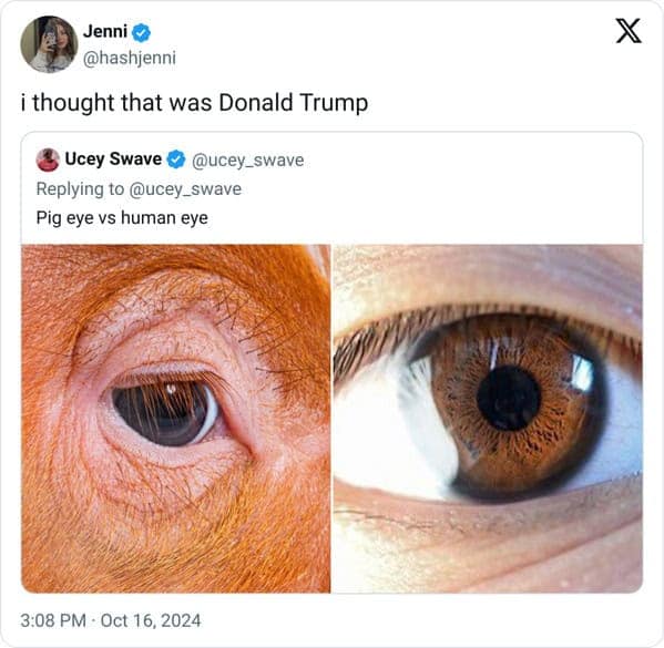 funny pics, funny memes, funny photos, funniest pics