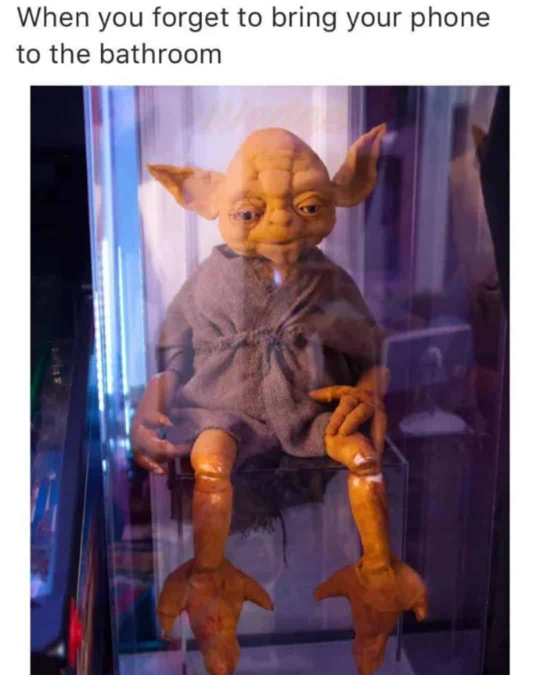 funny pics, funny memes, funny photos, funniest pics