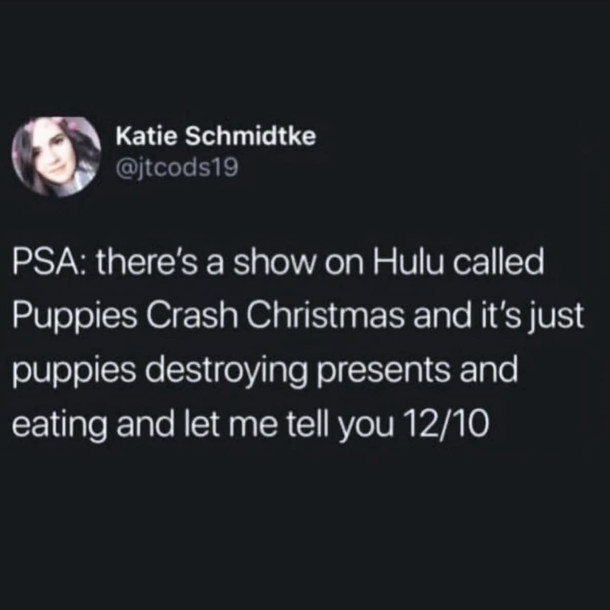 PSA: there's a show on Hulu called Puppies Crash Christmas and it's just puppies destroying presents and eating and let me tell you 12/10
