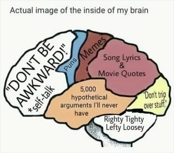 Actual image of the inside of my brain