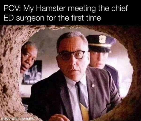 POV: My Hamster meeting the chief ED surgeon for the first time