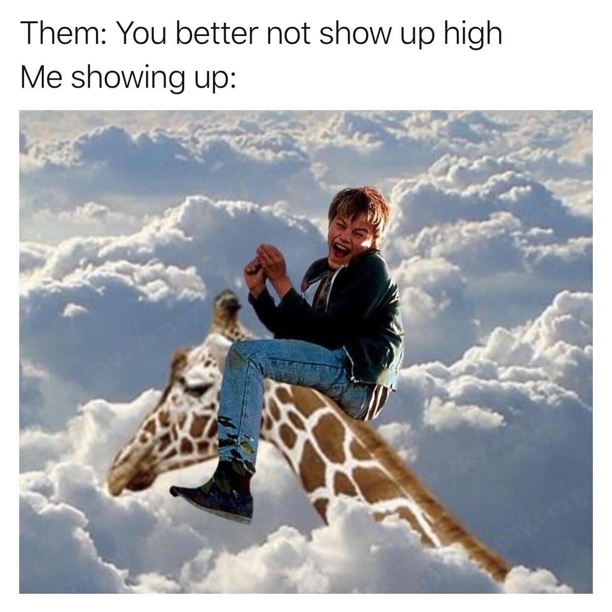 Them: You better not show up high Me showing up: