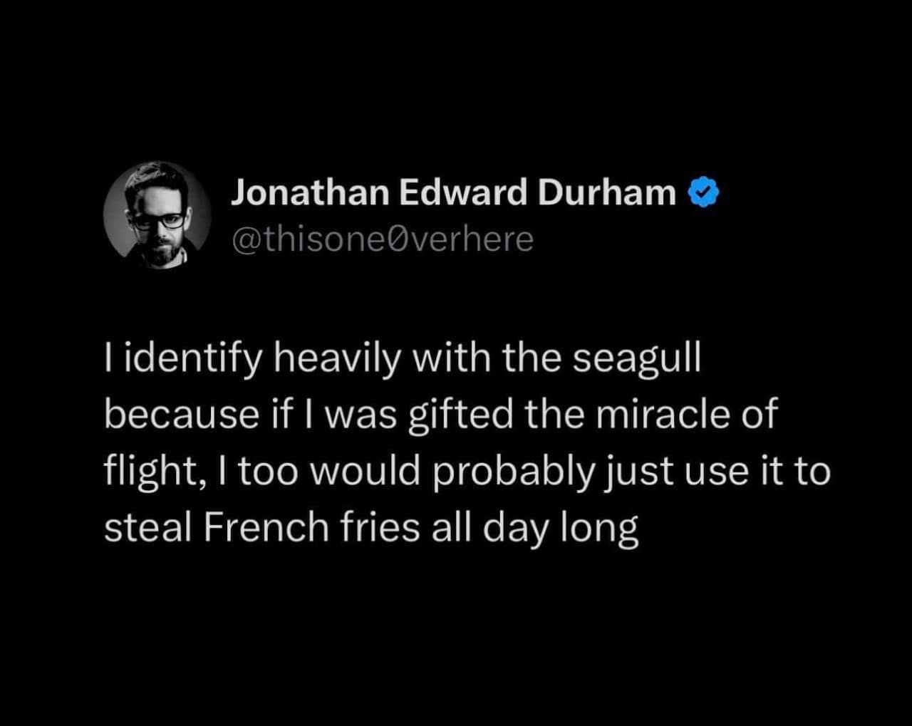 I identify heavily with the seagull because if I was gifted the miracle of flight, I too would probably just use it to steal French fries all day long