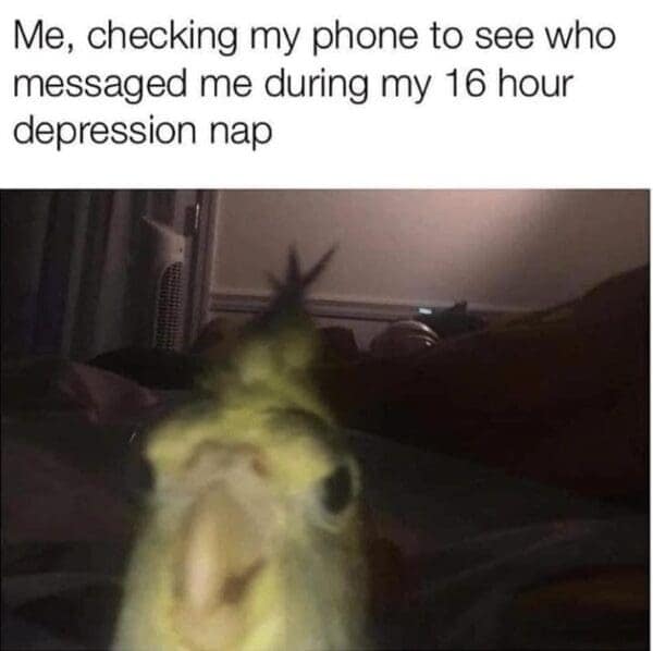 Me, checking my phone to see who messaged me during my 16 hour depression nap