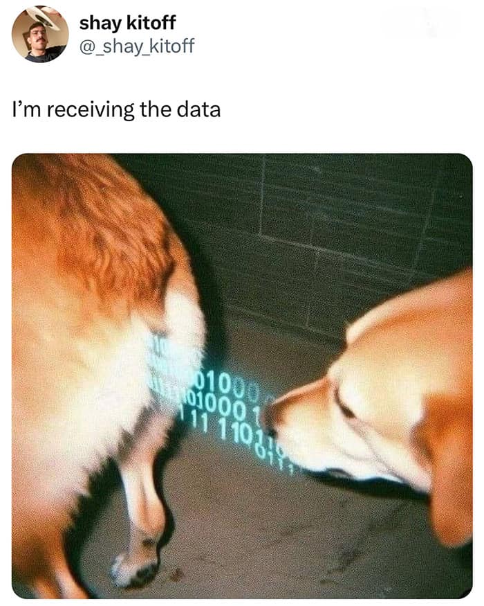 I'm receiving the data
