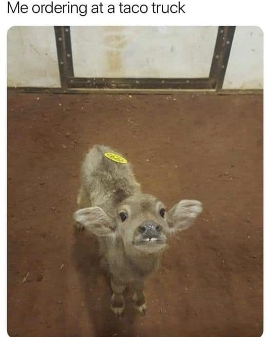 Me ordering at a taco truck