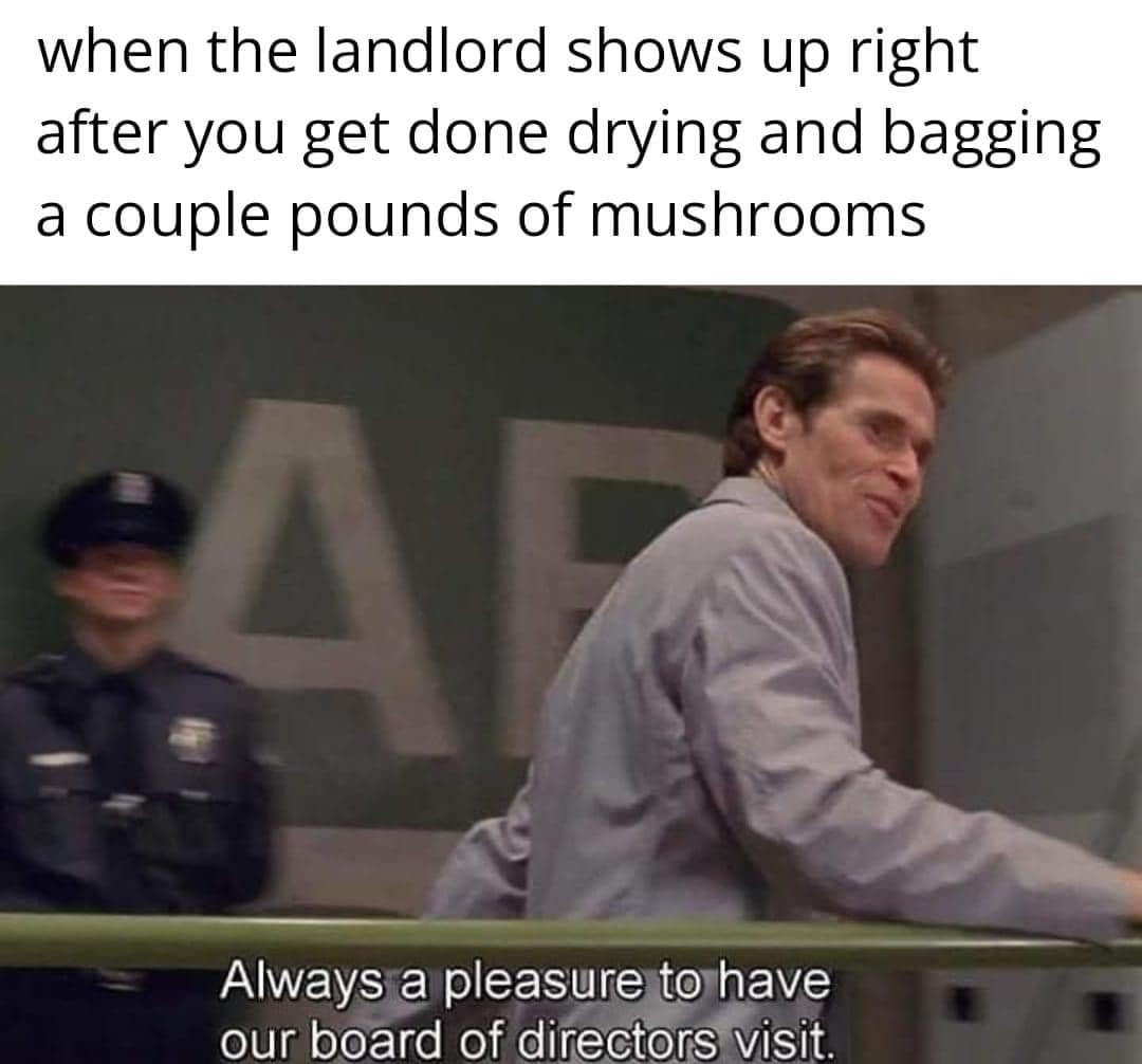 when the landlord shows up right after you get done drying and bagging a couple pounds of mushrooms