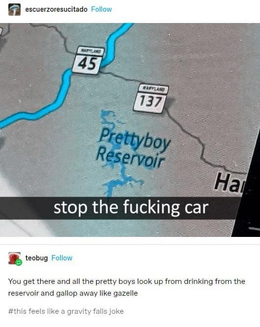 You get there and all the pretty boys look up from drinking from the reservoir and gallop away like gazelle