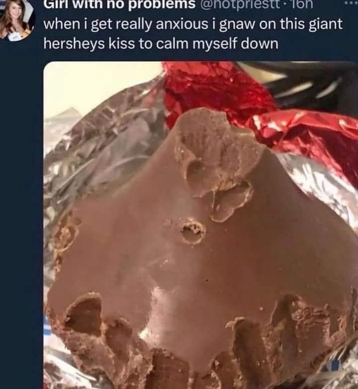 funny pictures, funny memes, funny photos, funniest pics