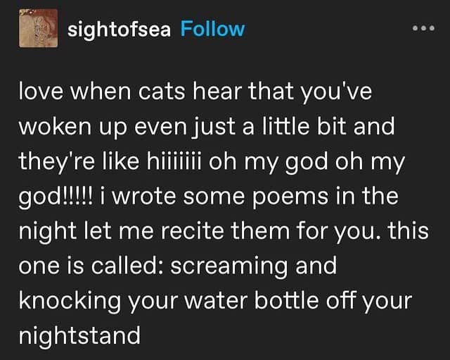 funny pictures, funny memes, funny photos, funniest pics