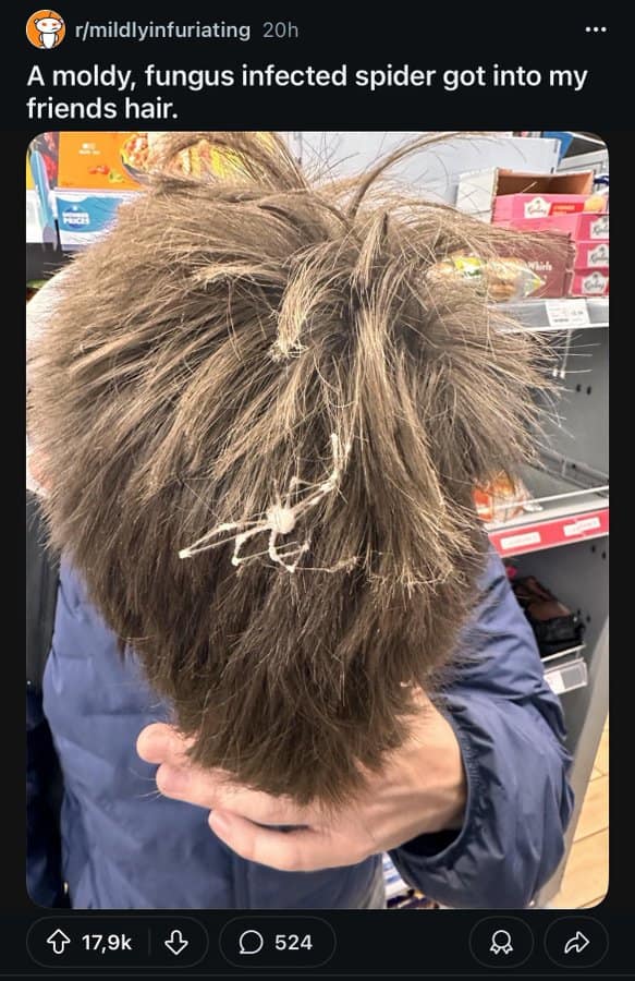 funny reddit posts, funny reddit pictures, reddit memes, funny reddit, reddit humor, amusing reddit pictures, hilarious reddit content