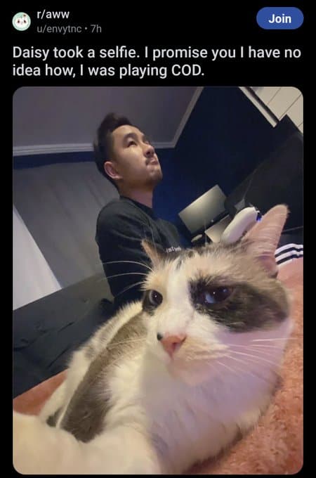 funny reddit posts, Reddit humor, amusing Reddit content, humorous Reddit posts, Reddit memes, Reddit funny pictures, Reddit viral posts, Internet humor, online jokes, social media humor, Viral content, trending posts, funny online posts