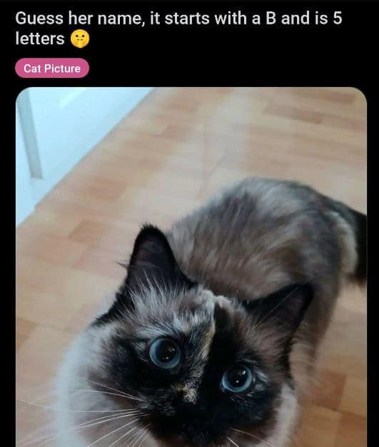 funny reddit posts, Reddit humor, amusing Reddit content, humorous Reddit posts, Reddit memes, Reddit funny pictures, Reddit viral posts, Internet humor, online jokes, social media humor, Viral content, trending posts, funny online posts