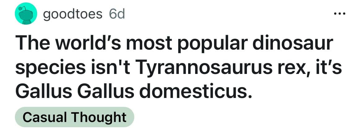 funny shower thoughts, humorous shower thoughts, amusing shower musings, witty bathroom ponderings, profound reflections, meaningful insights, philosophical musings, Shower thoughts reddit, online musings, internet thoughts, reddit ponderings