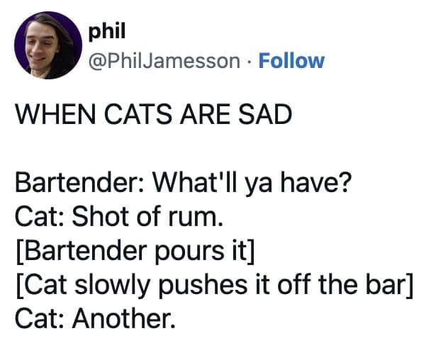 phil @PhilJamesson • Follow WHEN CATS ARE SAD Bartender: What'll ya have? Cat: Shot of rum. [Bartender pours it' [Cat slowly pushes it off the bar] Cat: Another.