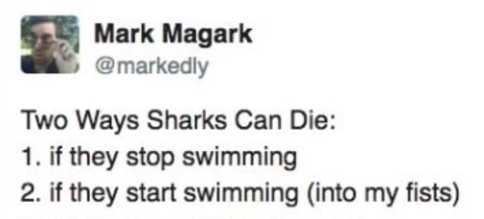 funny tweets, hilarious tweets, trending tweets, humor on Twitter, Twitter trends, side-splitting tweets, comical tweets, witty Twitter posts