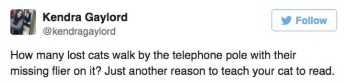 funny tweets, hilarious tweets, trending tweets, humor on Twitter, Twitter trends, side-splitting tweets, comical tweets, witty Twitter posts