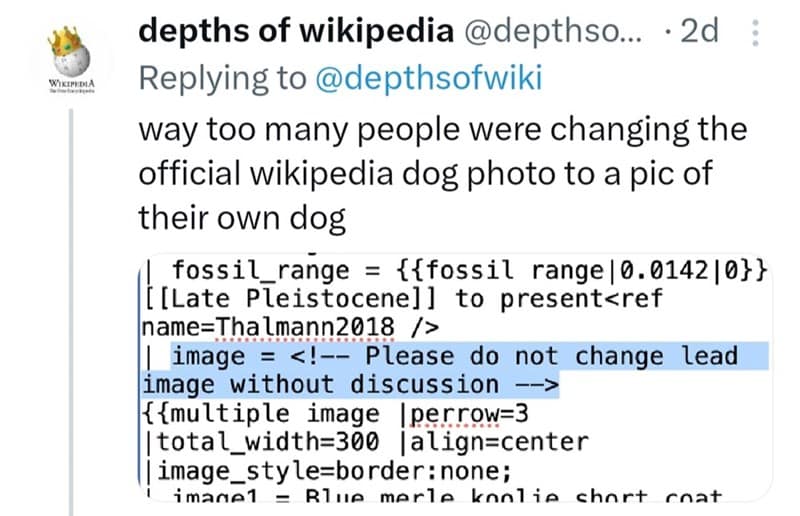 way too many people were changing the official wikipedia dog photo to a pic of their own dog