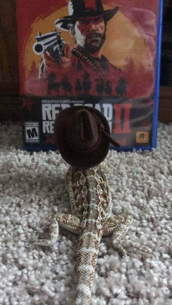 gamer memes, gaming memes, Funny Gaming Memes, Gaming Culture, Gaming Humor, video game memes, gamer jokes, comedic gaming content