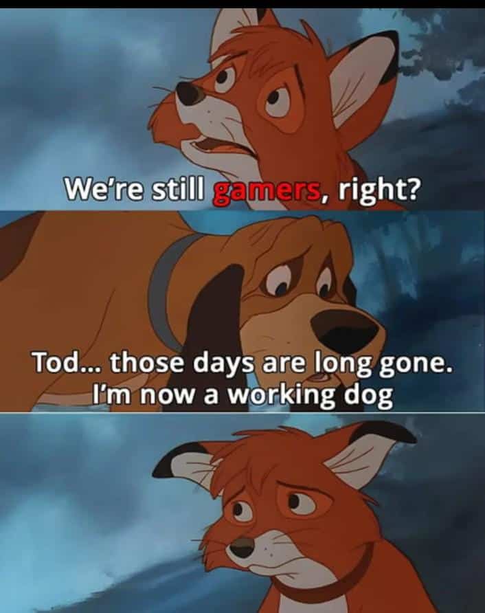 gamer memes, video game memes, gaming memes, funny gamer memes, Gaming humor, gamer jokes, gaming funnies, video game humor, gamer puns, video game jokes, gaming laughs, console memes, PC gaming memes, game memes