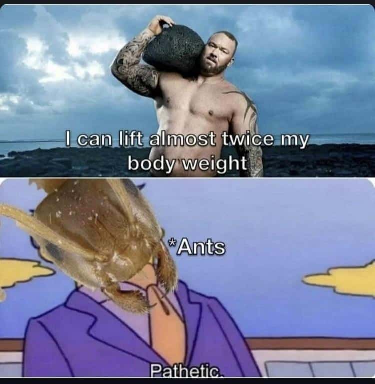 gym memes, workout memes, exercise memes, fitness humor, exercise memes fitness memes, workout humor, gym jokes holiday fitness, fitness struggles, workout challenges