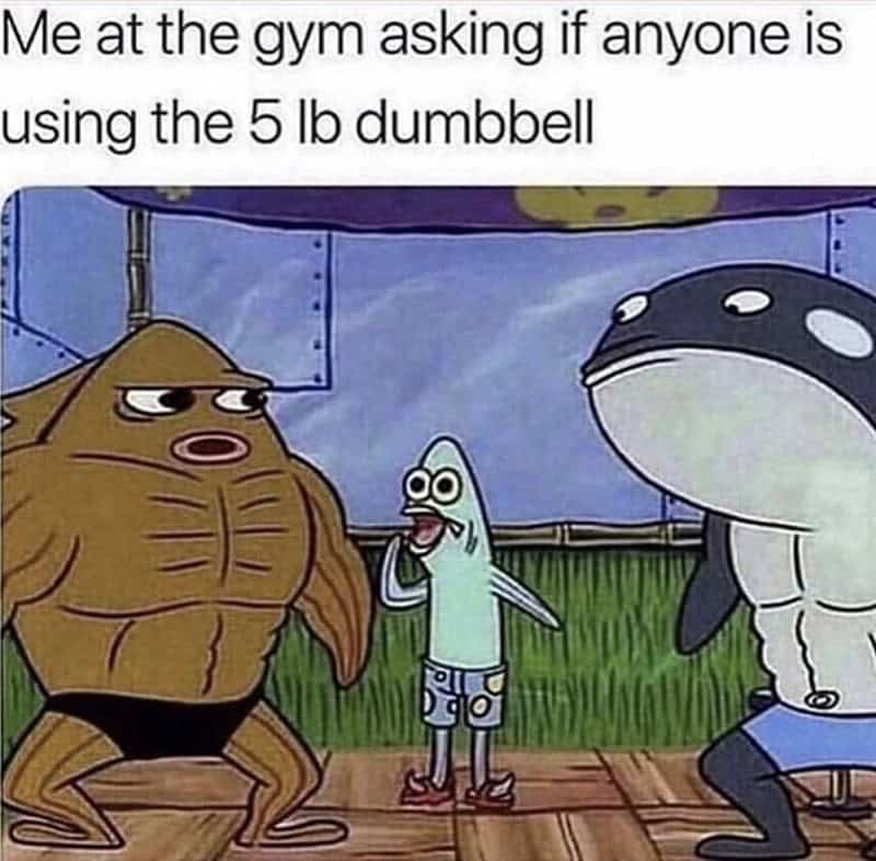 gym memes, workout memes, exercise memes, fitness humor, exercise memes fitness memes, workout humor, gym jokes holiday fitness, fitness struggles, workout challenges