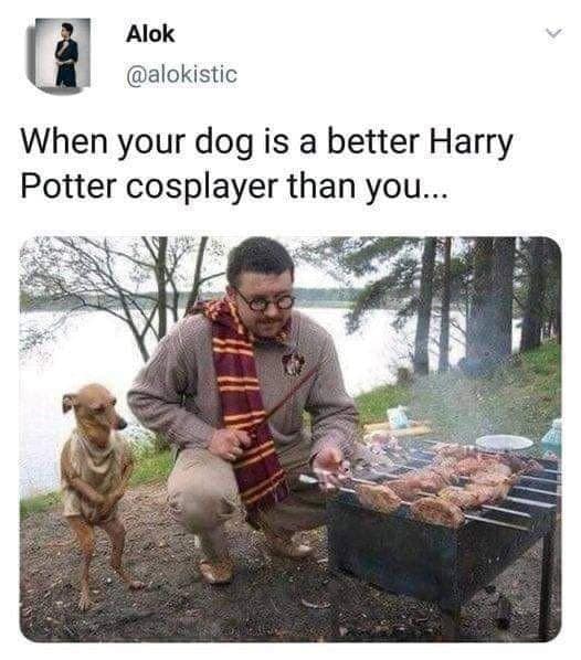harry potter memes, wizarding world memes, magical memes, Potterhead humor, Hogwarts memes, wizard memes, magic school memes, Funny Harry Potter images, Harry Potter jokes, Harry Potter humor, Harry Potter fan memes, magical world memes
