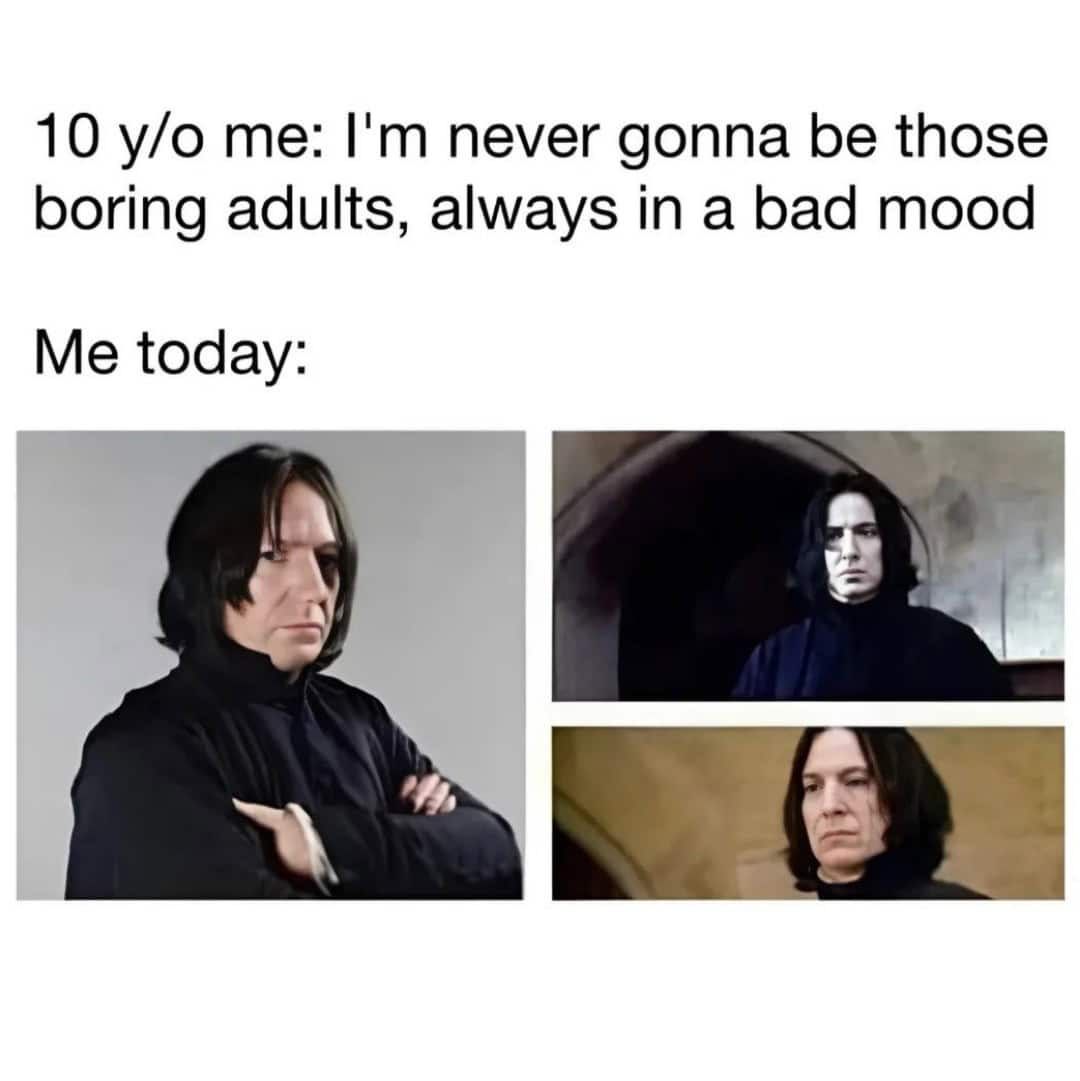 harry potter memes, Potter memes, wizarding memes Harry Potter jokes, Hogwarts memes, Harry Potter fan memes fantasy memes, magical memes, Potterhead humor