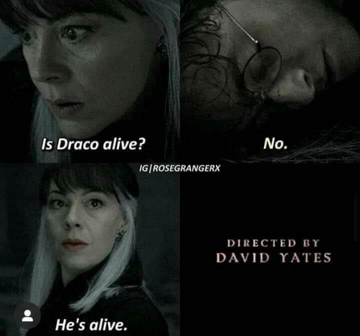 harry potter memes, wizarding world memes, magical memes, Potterhead humor, Hogwarts memes, wizard memes, magic school memes, Funny Harry Potter images, Harry Potter jokes, Harry Potter humor, Harry Potter fan memes, magical world memes